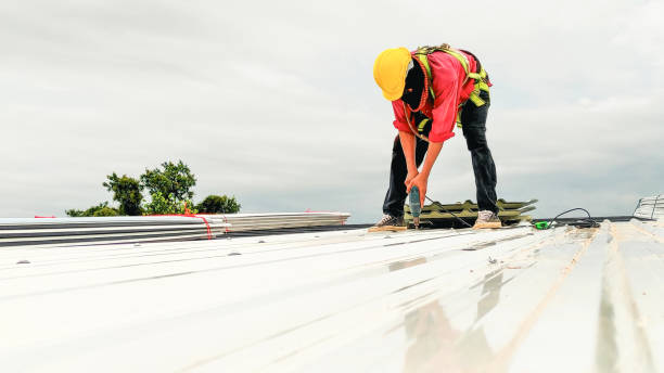 Best Roof Waterproofing  in Plattsburg, MO