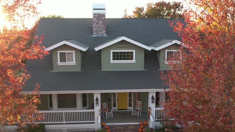 Best Chimney Flashing Repair  in Plattsburg, MO