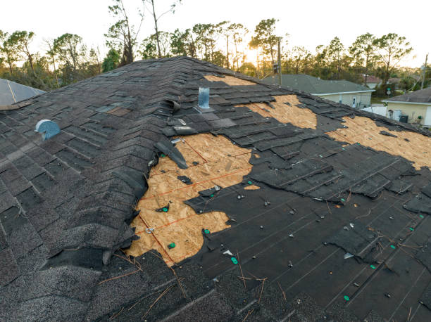Best Gutter Installation and Repair  in Plattsburg, MO